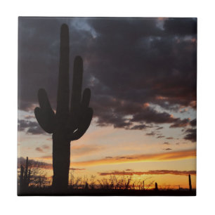 Carreau Saguaro Sunset III Arizona Desert Paysage