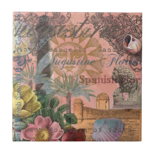 Carreau saint augustine florida voyage art antique