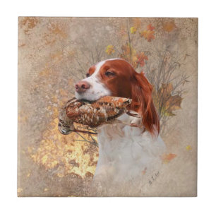 Carreau Saison de chasse à la bécasse