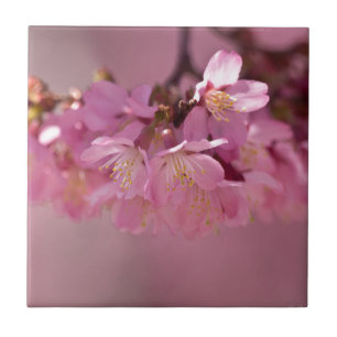 Carreau Sakura Cherry Blossoms Delicate Pink Bouquet