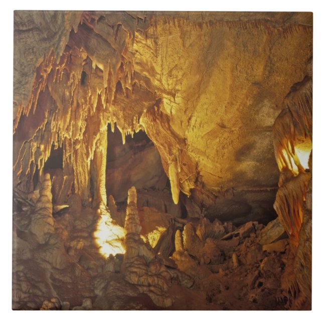 Carreau Salle des Draperies, Mammoth Cave National Park, (Devant)