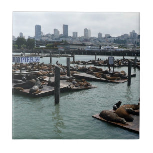Carreau San Francisco et Pier 39 Sea Lions City Skyline