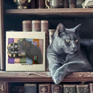 Carreau Sandales British Shorthair Prêtes pour la Plage Dr