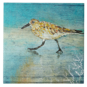 Carreau Sandpiper Beach Shorebird Weathered Artwork