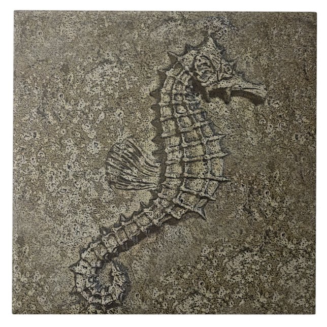 Carreau Sandy a donné à la photographie changée par (Devant)