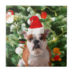 Carreau Santa Hat Bulldog Christmas Tree Snowman boîte cad<br><div class="desc">Mignonne photo Bulldog avec boîte cadeau de Noël Tree Snowman en arrière - plan. Un cadeau parfait pour Noël !</div>