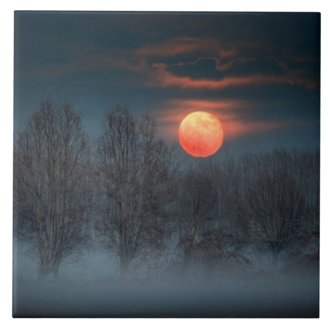 Carreau Scalenghe en Piémont, Italie (Devant)