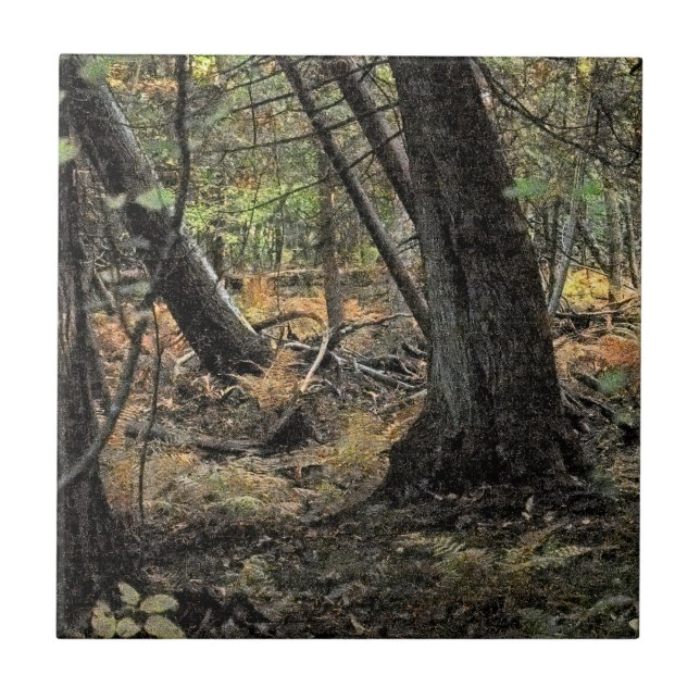 Carreau Scène de forêt automnale             (Devant)