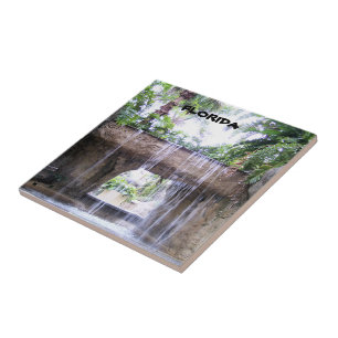 Carreau Scène de jardin tropical avec cascade de Floride