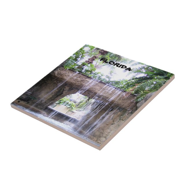 Carreau Scène de jardin tropical avec cascade de Floride (Côté)