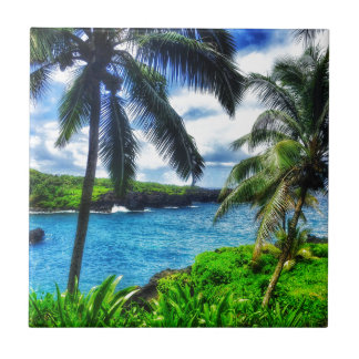 Carreau Scène du Hawaïen IMG_1122 4