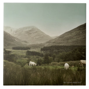 Carreau Scène irlandaise de montagne