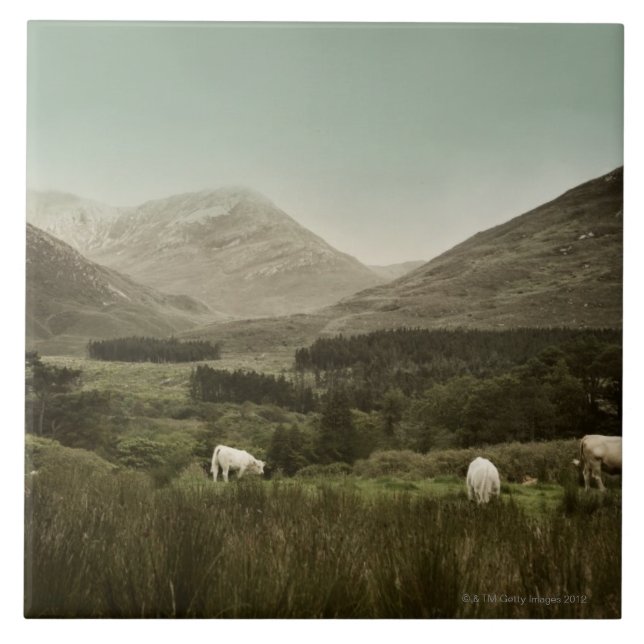 Carreau Scène irlandaise de montagne (Devant)