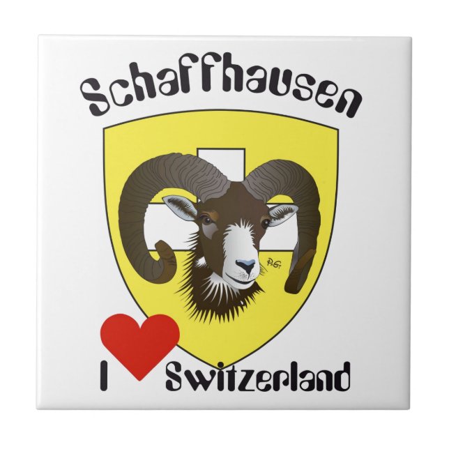 Carreau Schaffhouse Suisse (Devant)