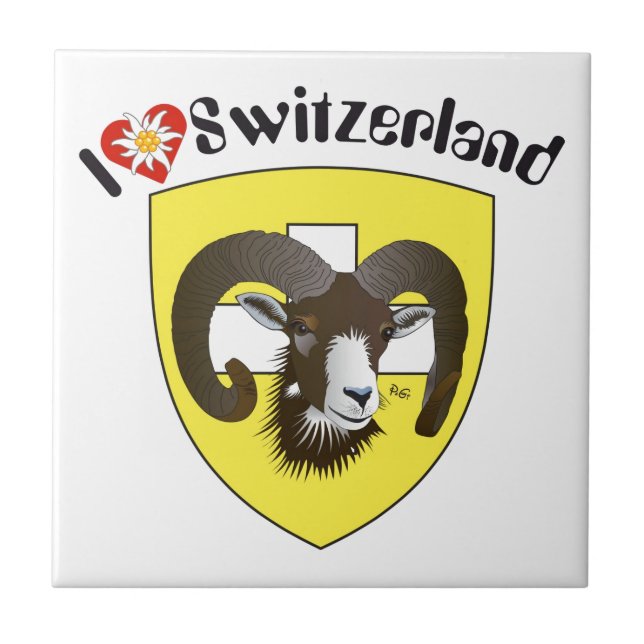 Carreau Schaffhouse Suisse (Devant)