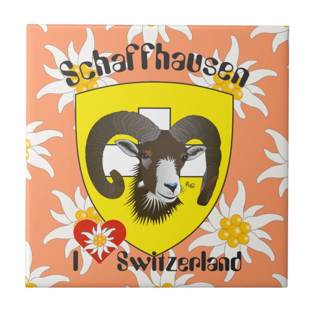 Carreau Schaffhouse - Suisse - Suisse - Svizzera Fliese (Devant)