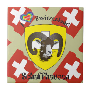 Carreau Schaffhouse - Suisse - Suisse - Svizzera Fliese