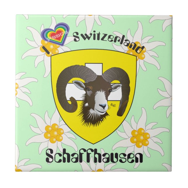 Carreau Schaffhouse - Suisse - Suisse - Svizzera Fliese (Devant)