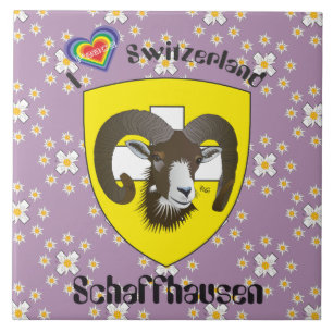 Carreau Schaffhouse - Suisse - Suisse - Svizzera Fliese