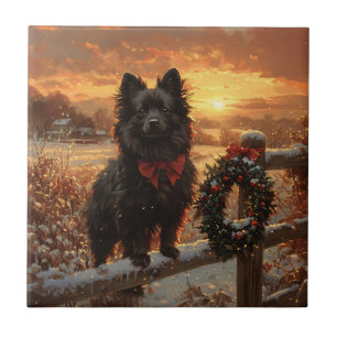Carreau Schipperke Chien Russe coucher de soleil hivernal