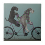 Carreau Schnauzer Tandem<br><div class="desc">Schnauzer Tandem par Fabfunky. Dispose de schnauzers à vélo dans un style sidéral et steampunk. | 192047D</div>