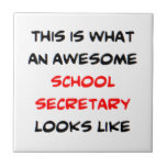 Carreau school secretary, awesome<br><div class="desc">This is what an awesome school secretary looks like</div>