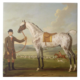Carreau Scipio, Hunter de Spotted, c.1750 (oi de colonel