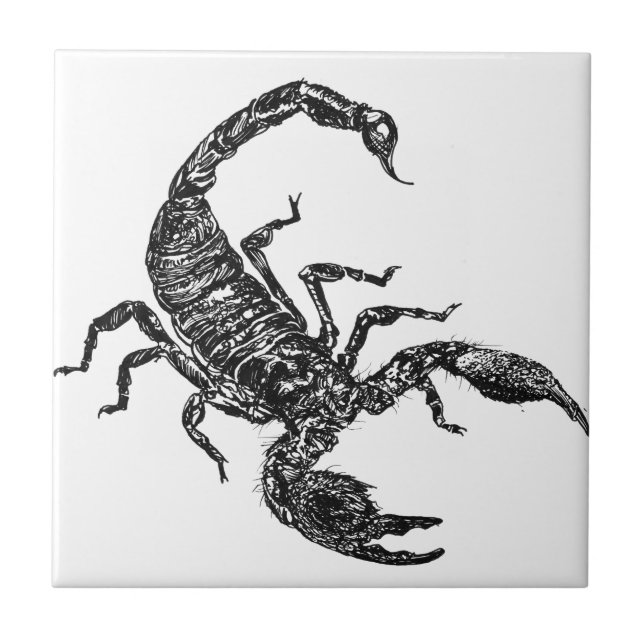 Carreau Scorpion (Devant)