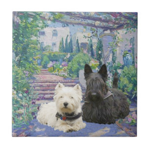 Carreau Scottie & Westie dans un jardin confortable