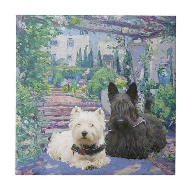 Carreau Scottie & Westie dans un jardin confortable (Devant)