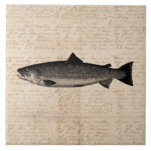Carreau Scripts d'illustrations de poissons de truites d'a