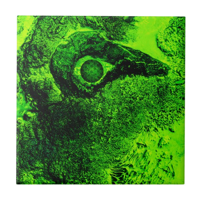 Carreau se tourner vers le vert (Devant)