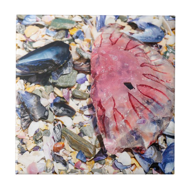 Carreau Sea Shells Jellyfish Ocean Beach Vue (Devant)