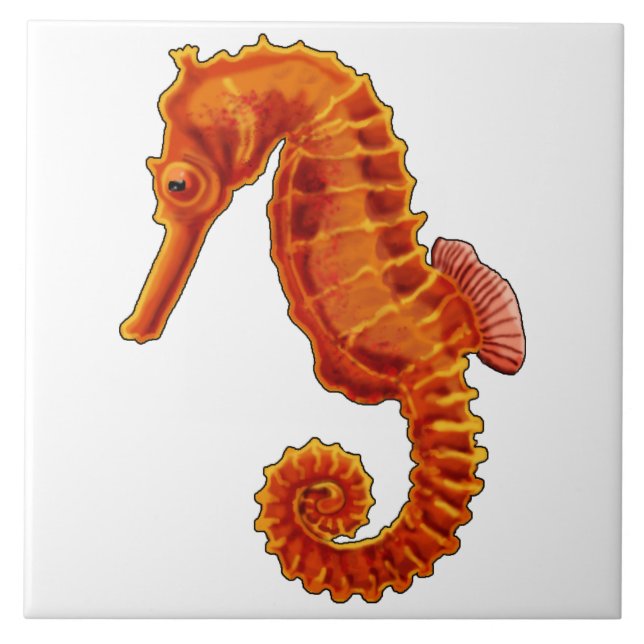 Carreau Seahorse (Devant)