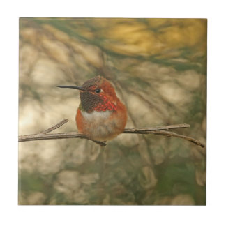 Carreau Séance Rufous de colibri