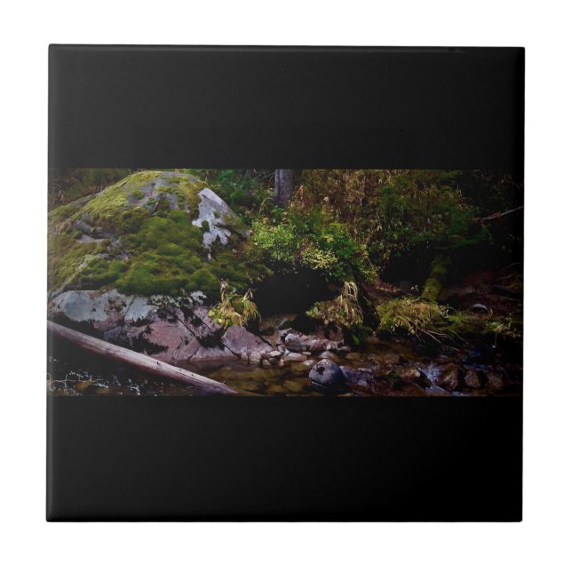 Carreau Secret Place (Devant)