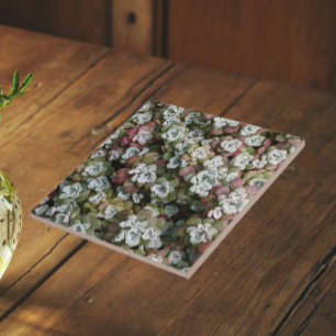 Carreau Sedum Spathulifolium Succulents Floral