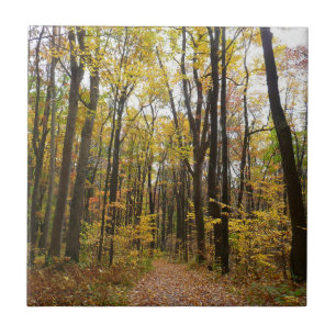 Carreau Sentier d'automne et feuilles dorées à Laurel Hill
