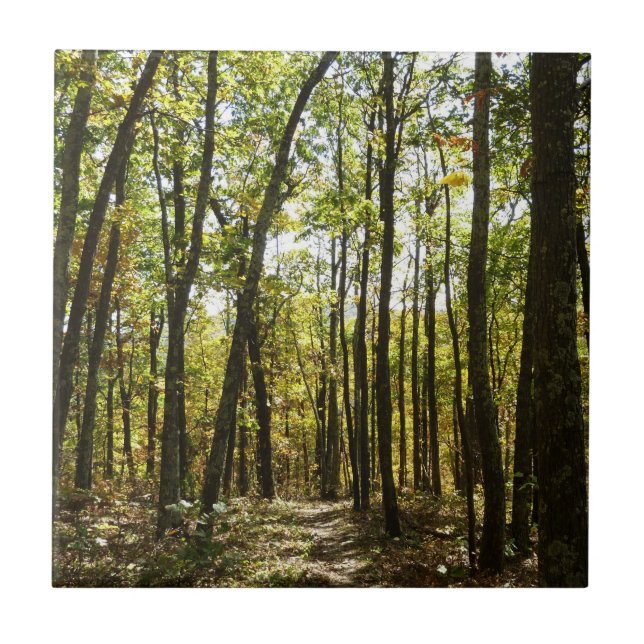 Carreau Sentier des Appalaches en octobre à Shenandoah (Devant)