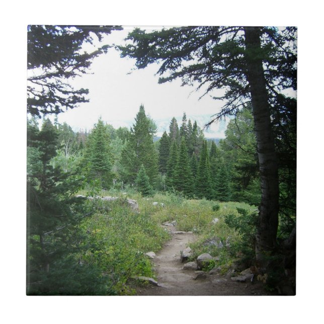 Carreau Sentier Grand Teton (Devant)