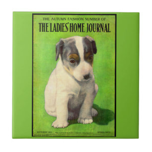 Carreau Septembre 1906 Ladies Home Journal couverture chio