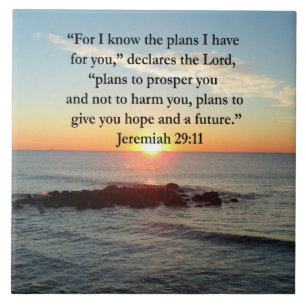 CARREAU SERENE JEREMIAH 29:11 SCELER