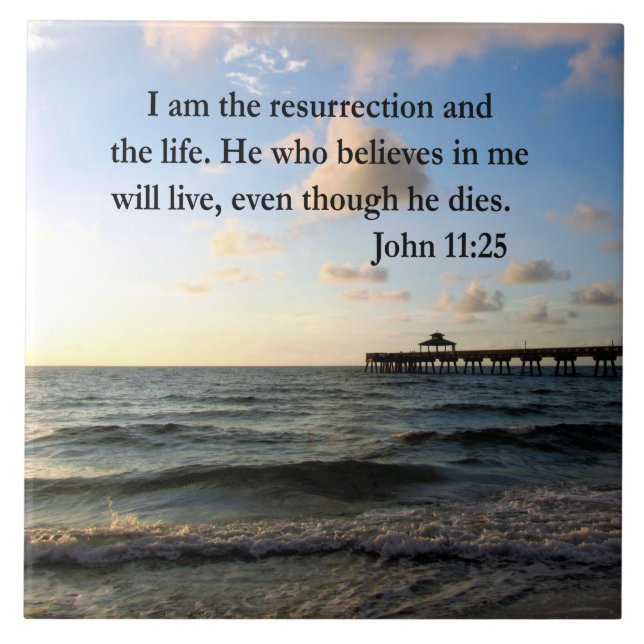 CARREAU SERENE JOHN 11:25 CONCEPTION DE SCRIPTURE (Devant)