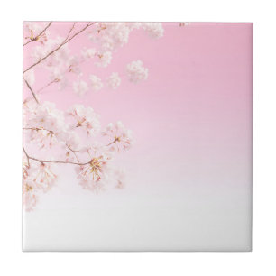 Carreau Sérénité printanière de la floraison rose des ceri