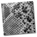 Carreau Serpent blanc noir<br><div class="desc">Carreaux en céramique Motif de peau de serpent animal de reptile blanc noir. Fun faux poster de animal de peau de serpent noir et blanc. C'est une photo closeup où vous pouvez presque voir la 3D des écailles. Que vous souhaitiez utiliser ce carrelage comme petit dessous de verre ou trivet...</div>