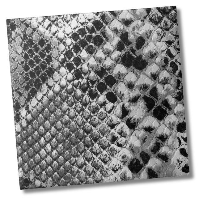 Carreau Serpent blanc noir (Black White Reptile Animal Snake Skin Pattern Ceramic Tile)