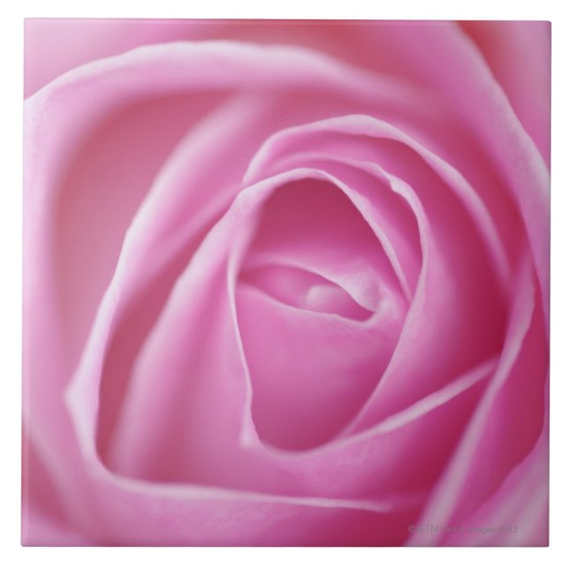 Carreau S'est levée, l'Allemagne (Devant)