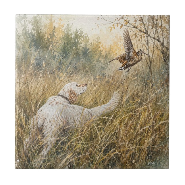 Carreau Setter anglais, chasse à la bécasse (Devant)