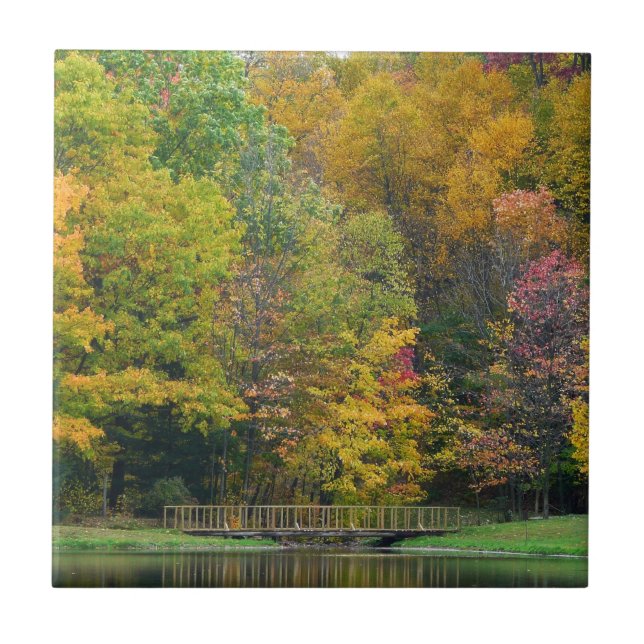 Carreau Seven Springs Fall Bridge II Autumn Paysage (Devant)