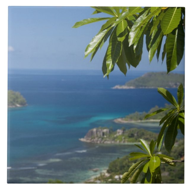 Carreau Seychelles, île de Mahe. Côte ouest de (Devant)